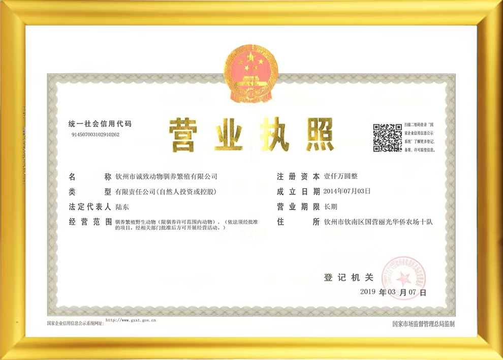 执照3.jpg